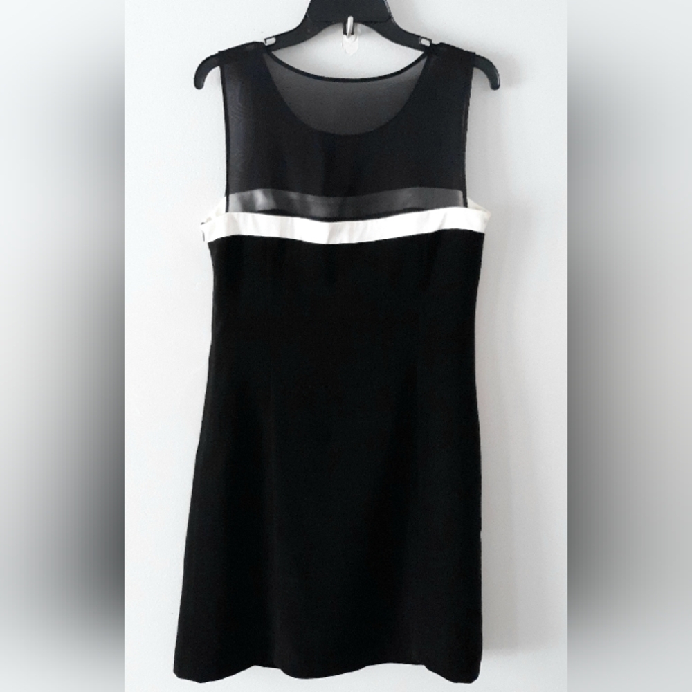Sheer Top Mini Dress - Picture 3 of 5